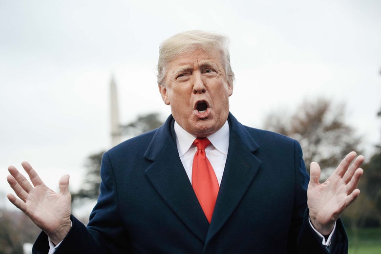 Donald Trump with the Washington Monument visible in the background.